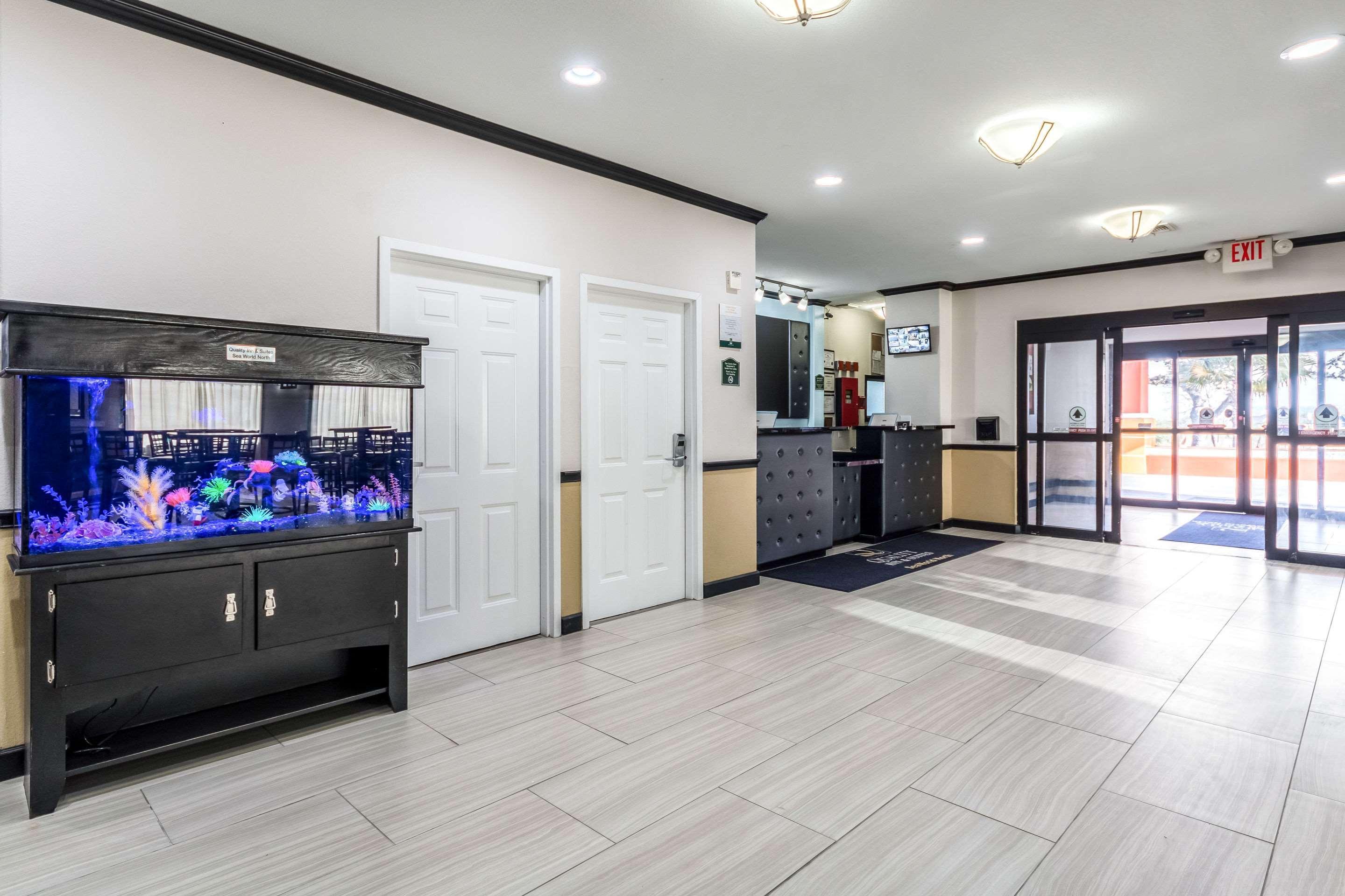 Quality Inn & Suites Seaworld North Σαν Αντόνιο Εξωτερικό φωτογραφία